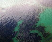 نشت نفت در خلیج فارس رفع شد