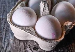 قیمت‌های عجیب تخم مرغ در بازار