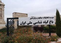  عضو شورای شهر تهران: ساخت‌وساز کنار باغ گیاه‌شناسی باید متوقف شود
