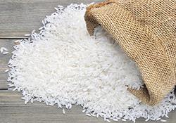 فاسد شدن برنج واقعیت ندارد/ قیمت هر کیلو برنج خارجی ۲۶ هزار تومان