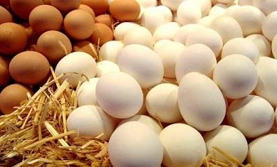 قیمت انواع تخم مرغ در بازار+لیست نرخ