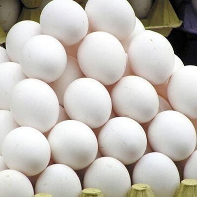 بازگشت قیمت تخم مرغ به نرخ مصوب تا 2 روز آینده