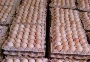 ریشه افزایش قیمت تخم مرغ چیست؟