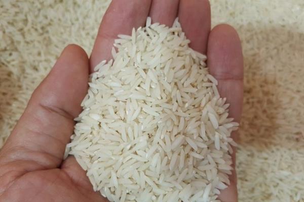 حذف ارز 4200 تومانی چه تاثیری بر قیمت برنج دارد؟/گرانی 85 درصدی نرخ برنج